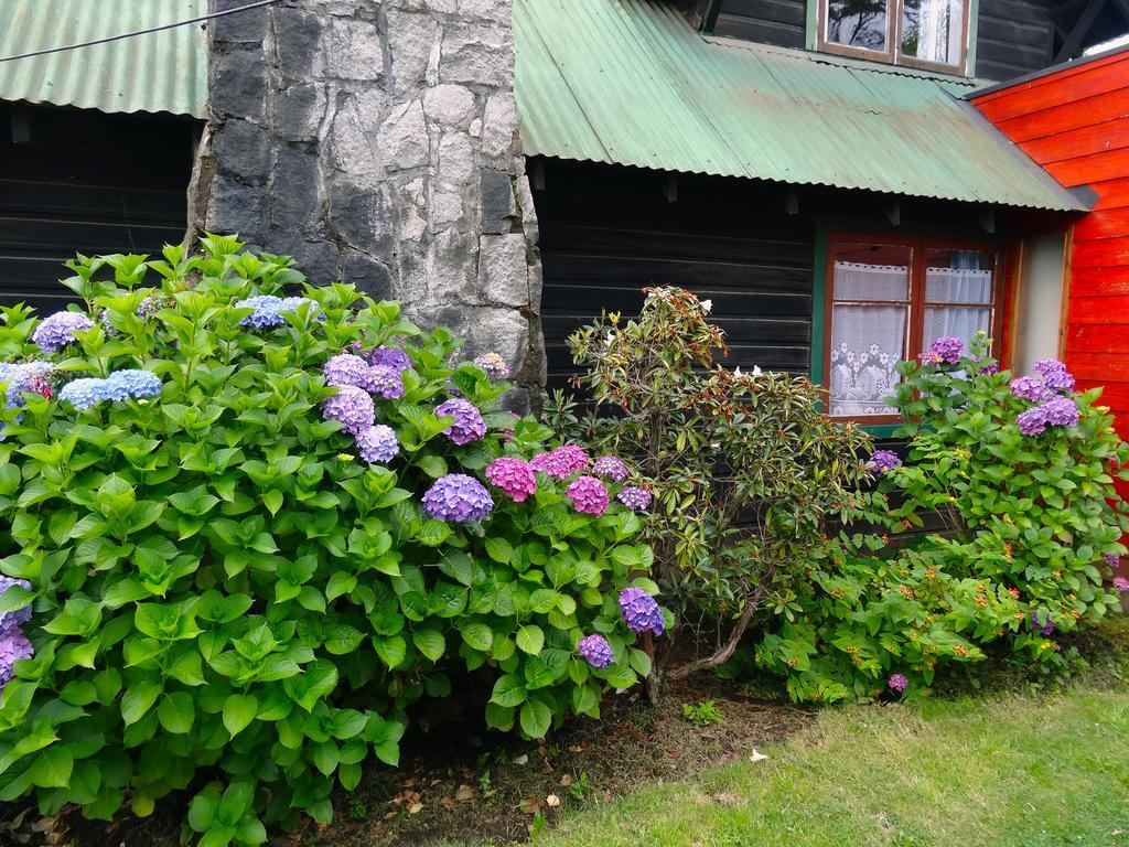 Hostal La Maison 普孔 外观 照片